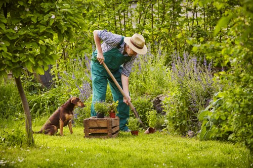 Gardener inspecting garden site for safety
